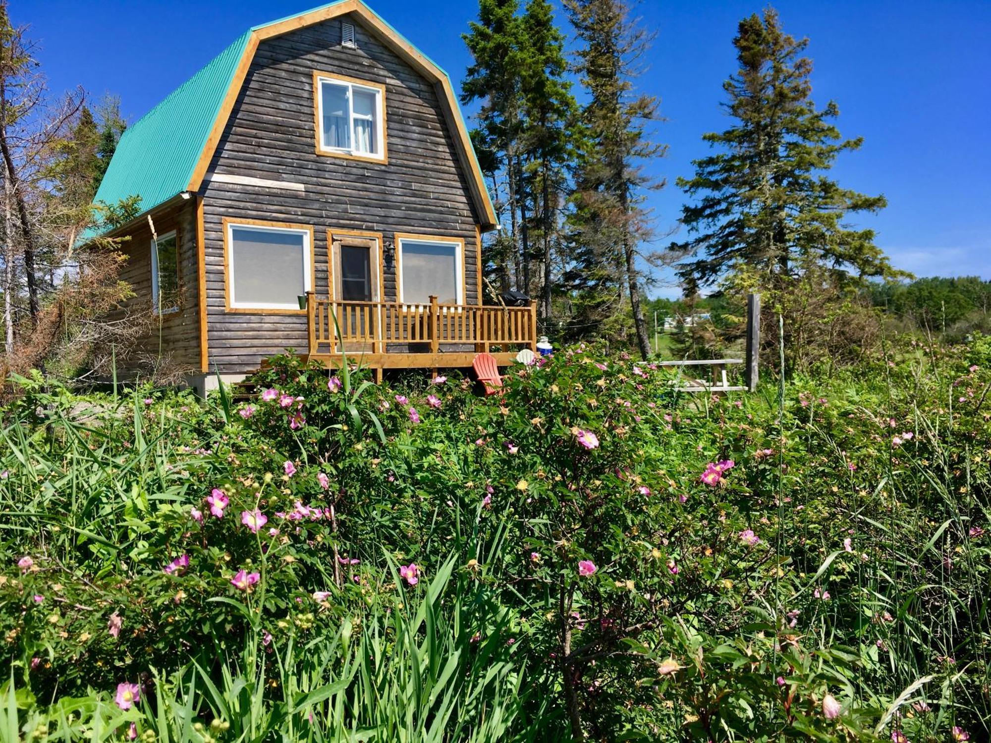 Chalets Du Bout Du Monde Gaspé エクステリア 写真