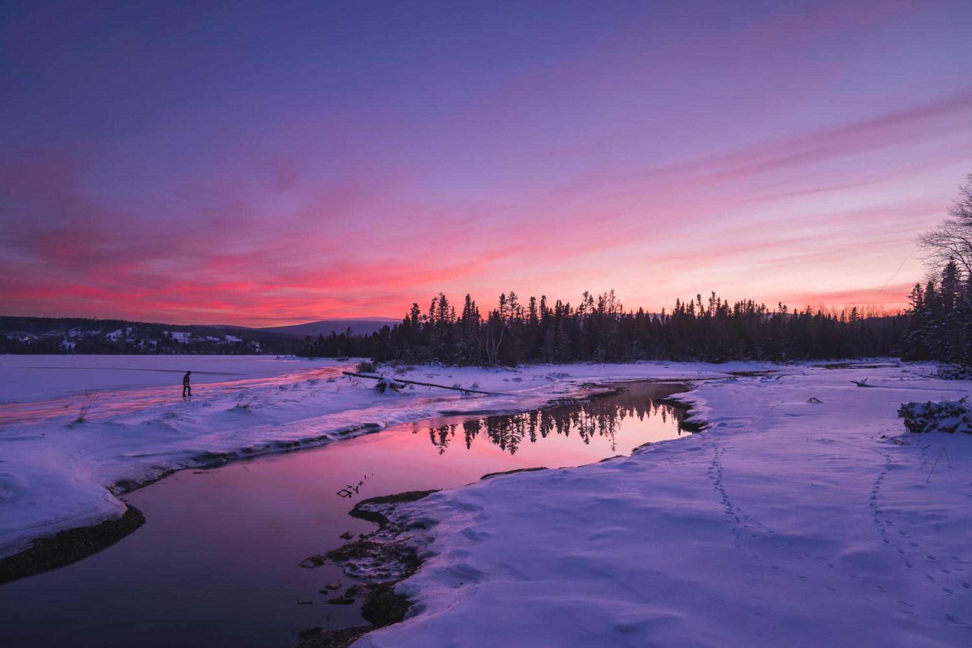 Chalets Du Bout Du Monde Gaspé エクステリア 写真