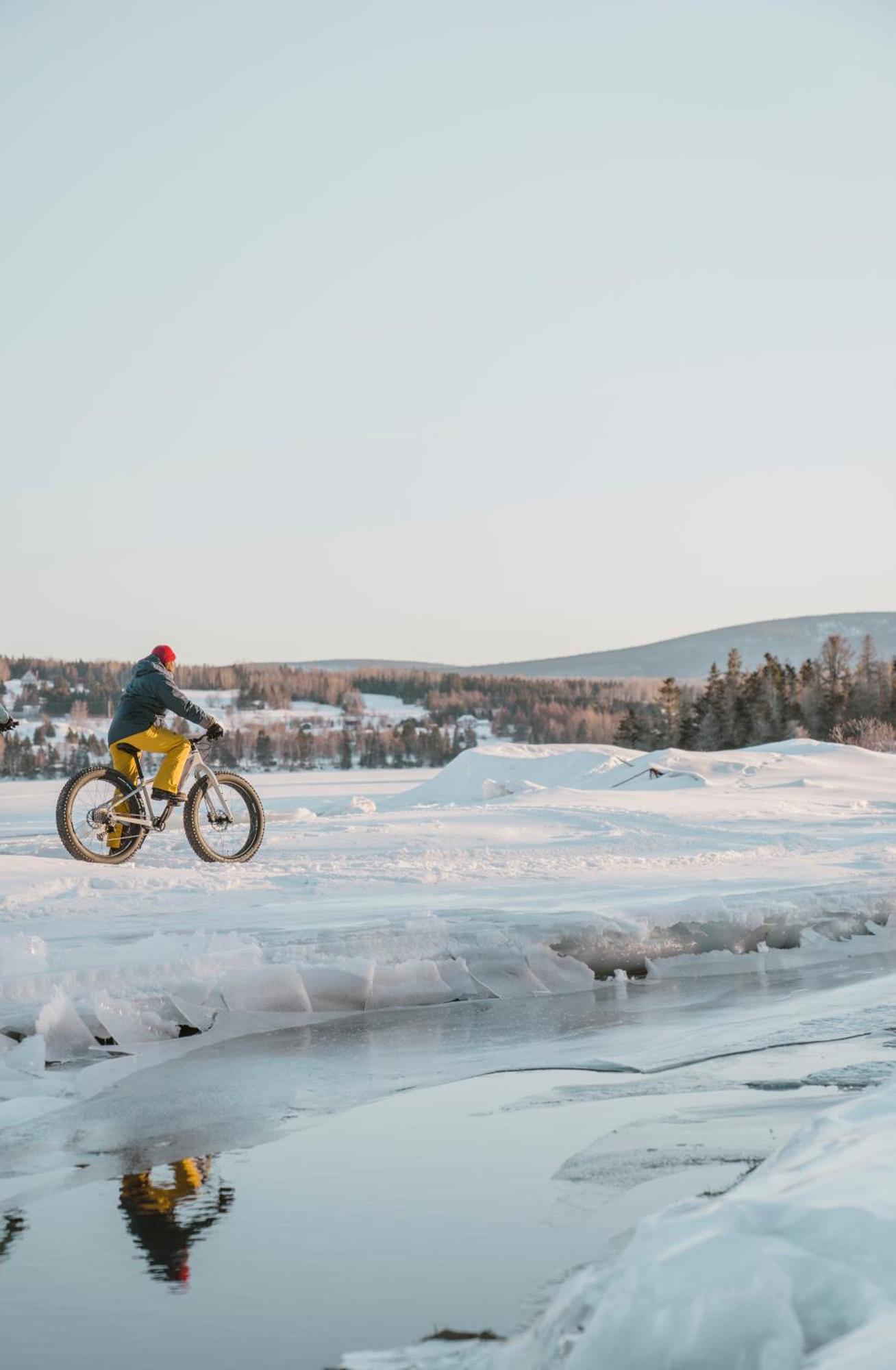 Chalets Du Bout Du Monde Gaspé エクステリア 写真