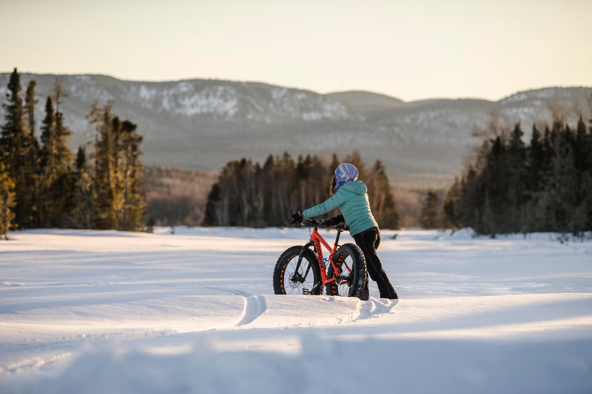 Chalets Du Bout Du Monde Gaspé エクステリア 写真